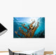 Elkhorn Coral Grows Healthy Wall Decal Design 1