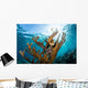Elkhorn Coral Grows Healthy Wall Decal Design 1
