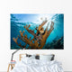 Elkhorn Coral Grows Healthy Wall Decal Design 1