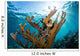 Elkhorn Coral Grows Healthy Wall Decal Design 1