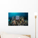 Colorful Set Gorgonians Diverse Wall Decal Design 12