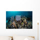 Colorful Set Gorgonians Diverse Wall Decal Design 12