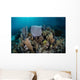 Colorful Set Gorgonians Diverse Wall Decal Design 12