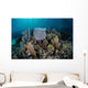 Colorful Set Gorgonians Diverse Wall Decal Design 12