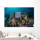 Colorful Set Gorgonians Diverse Wall Decal Design 12