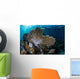 Colorful Set Gorgonians Diverse Wall Decal Design 11