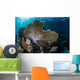 Colorful Set Gorgonians Diverse Wall Decal Design 11