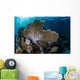 Colorful Set Gorgonians Diverse Wall Decal Design 11
