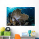 Colorful Set Gorgonians Diverse Wall Decal Design 11