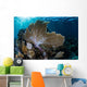Colorful Set Gorgonians Diverse Wall Decal Design 11