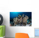 Colorful Set Gorgonians Diverse Wall Decal Design 10