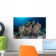 Colorful Set Gorgonians Diverse Wall Decal Design 10