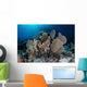Colorful Set Gorgonians Diverse Wall Decal Design 10