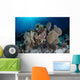 Colorful Set Gorgonians Diverse Wall Decal Design 10