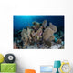 Colorful Set Gorgonians Diverse Wall Decal Design 10