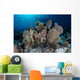 Colorful Set Gorgonians Diverse Wall Decal Design 10