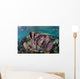 Colorful Set Gorgonians Diverse Wall Decal Design 9