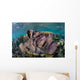 Colorful Set Gorgonians Diverse Wall Decal Design 9