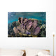 Colorful Set Gorgonians Diverse Wall Decal Design 9