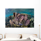 Colorful Set Gorgonians Diverse Wall Decal Design 9