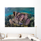 Colorful Set Gorgonians Diverse Wall Decal Design 9