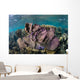 Colorful Set Gorgonians Diverse Wall Decal Design 9