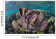 Colorful Set Gorgonians Diverse Wall Decal Design 9