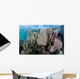 Colorful Set Gorgonians Diverse Wall Decal Design 8