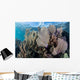 Colorful Set Gorgonians Diverse Wall Decal Design 8