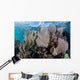 Colorful Set Gorgonians Diverse Wall Decal Design 8