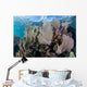 Colorful Set Gorgonians Diverse Wall Decal Design 8