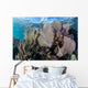 Colorful Set Gorgonians Diverse Wall Decal Design 8