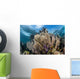 Colorful Set Gorgonians Diverse Wall Decal Design 7