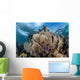 Colorful Set Gorgonians Diverse Wall Decal Design 7