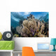 Colorful Set Gorgonians Diverse Wall Decal Design 7