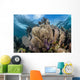 Colorful Set Gorgonians Diverse Wall Decal Design 7