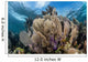 Colorful Set Gorgonians Diverse Wall Decal Design 7