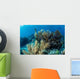 Colorful Set Gorgonians Diverse Wall Decal Design 6