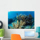 Colorful Set Gorgonians Diverse Wall Decal Design 6