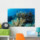 Colorful Set Gorgonians Diverse Wall Decal Design 6