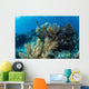Colorful Set Gorgonians Diverse Wall Decal Design 6