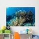 Colorful Set Gorgonians Diverse Wall Decal Design 6