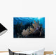 Colorful Set Gorgonians Diverse Wall Decal Design 5