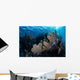 Colorful Set Gorgonians Diverse Wall Decal Design 5