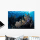 Colorful Set Gorgonians Diverse Wall Decal Design 5