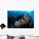 Colorful Set Gorgonians Diverse Wall Decal Design 5