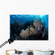 Colorful Set Gorgonians Diverse Wall Decal Design 5