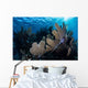Colorful Set Gorgonians Diverse Wall Decal Design 5