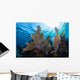 Colorful Set Gorgonians Diverse Wall Decal Design 4