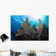 Colorful Set Gorgonians Diverse Wall Decal Design 4